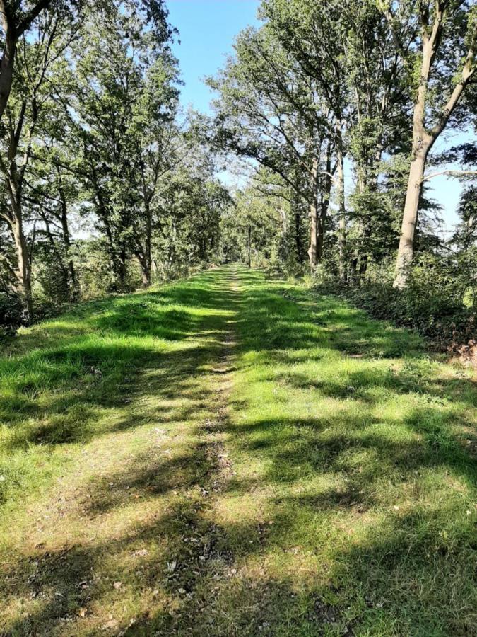 Hoeve De Laan Woudenberg Kültér fotó