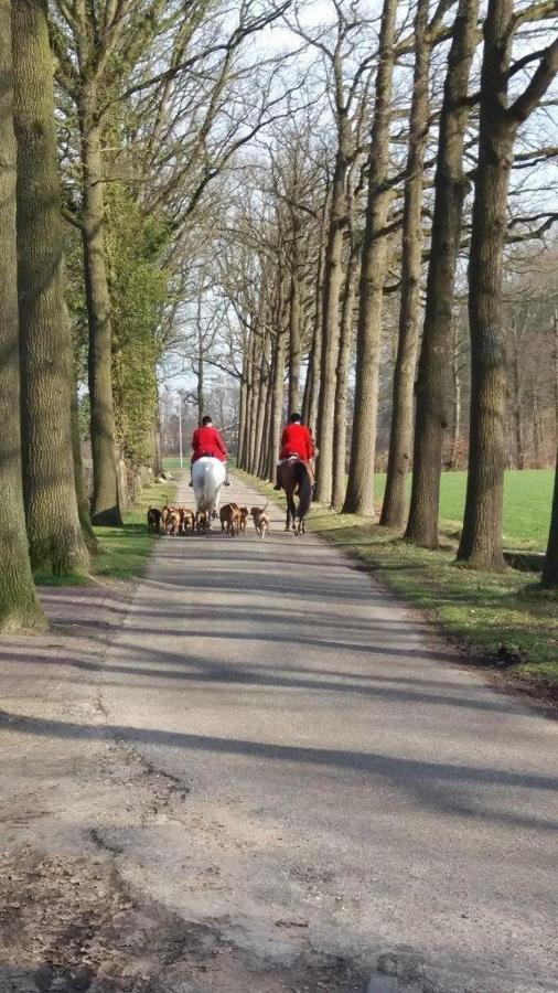 Hoeve De Laan Woudenberg Kültér fotó